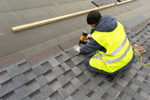 Best Roof Gutter Cleaning  in Union City, TN
