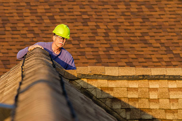 Best Roof Gutter Cleaning  in Union City, TN